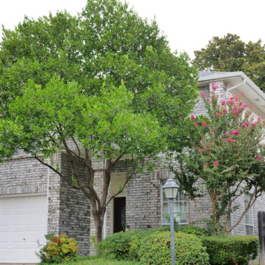 Roofing in Plano Texas