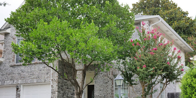 Roofing in Plano Texas Roofing in Plano Texas