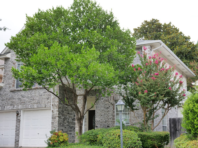 Roofing in Plano Texas Roofing in Plano Texas